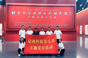 显鸿科技开展“深化民族团结进步教育 铸牢中华民族共同体意识”主题党日活动