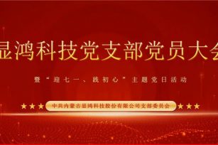 显鸿科技党支部党员大会暨“迎七一、践初心”主题党日活动